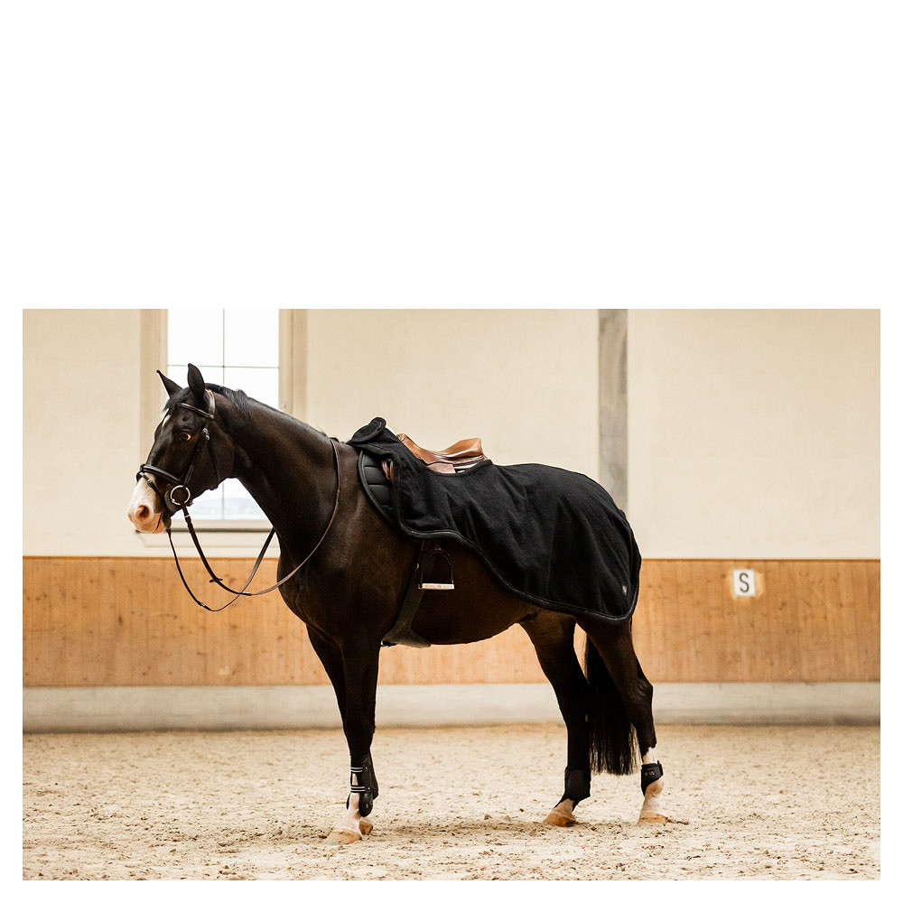 BR CLX Exercide Rug - Image 6