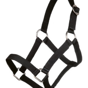HKM Head collar for Mini-shetty