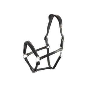 Halter BR Aberdeen anatomic head piece