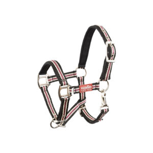 PREMIERE Foal Halter Vivid neoprene lining