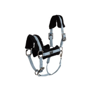 BR Eevolv Halter Jonne