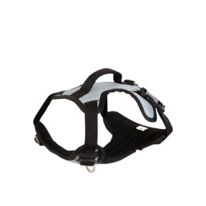 BR Dog Harness