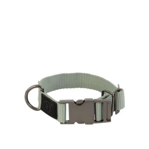 BR Dog Collar