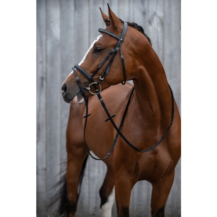 HKM Bridle -Economic- - Image 4