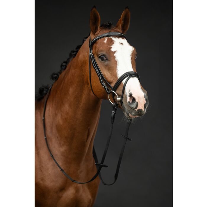 HKM Bridle -Economic- - Image 3