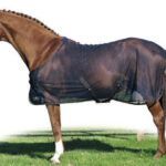 HKM Fly rug -Santos-