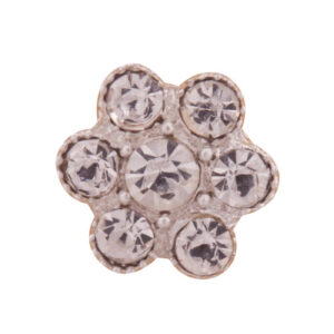Bun pin BR Jasmin set/5pcs silver