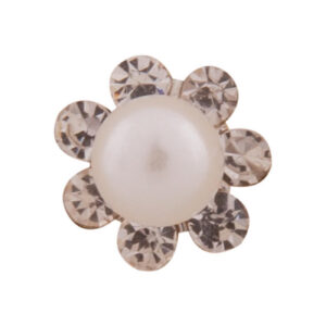 Bun pin BR Clover set/5pcs silver