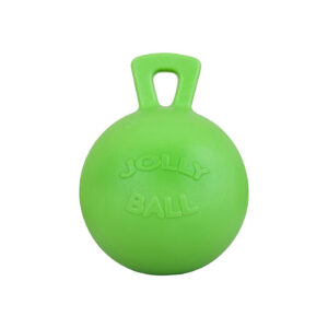 Jolly Ball 10" apple