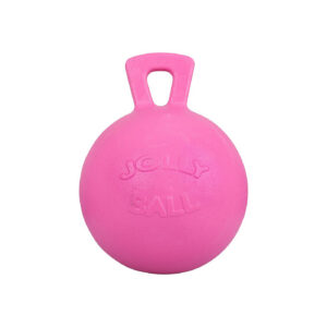 Jolly Ball 10" Bubble Gum