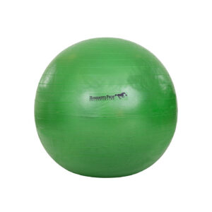 Play ball Jolly Mega Ball 40in ch (102cm)