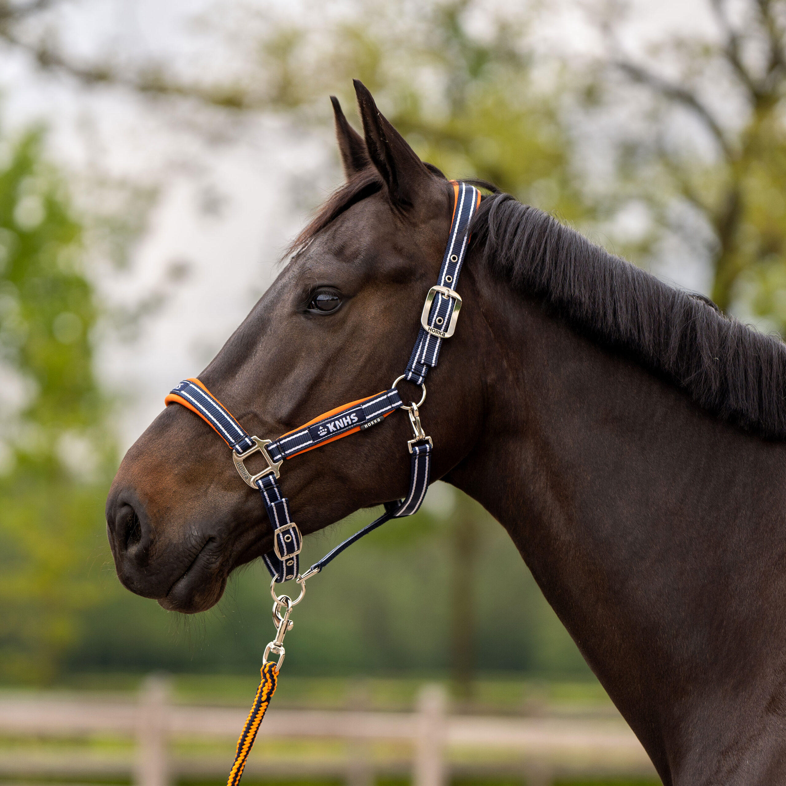 HORKA Knhs Halsterset