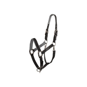 ANKY® Grooming Halter