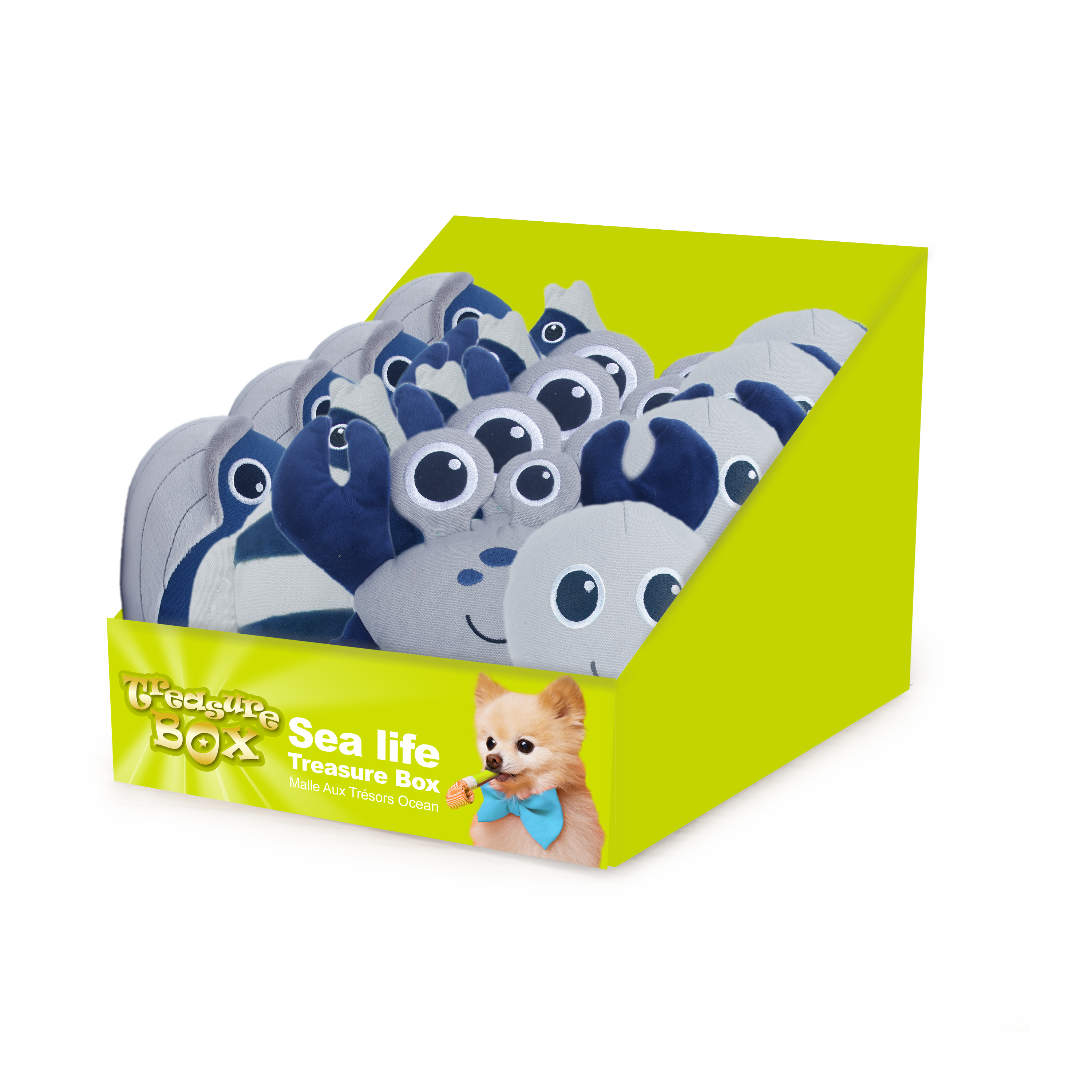 AFP Treasure Box Sea Life