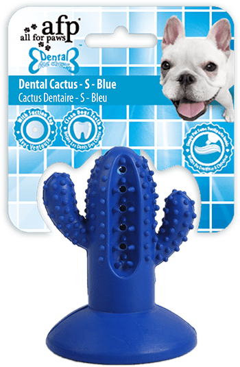 AFP Dental Chews - Dental Cactus S Blue