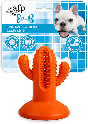 AFP Dental Chews - Dental Cactus M Orange
