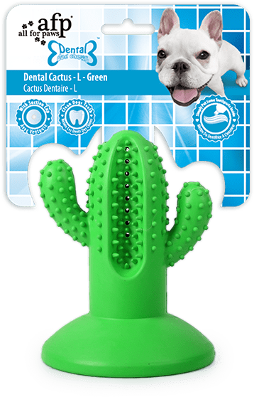 AFP Dental Chews - Dental Cactus L Green