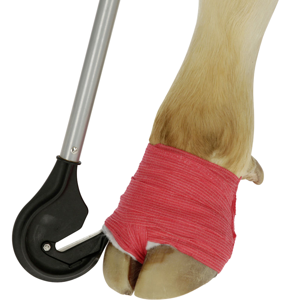 Claw bandage knife 1 metre