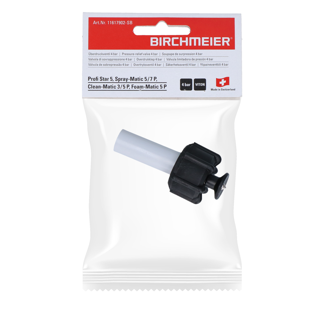 Birchmeier DR5 Safety Valve (4 bar)