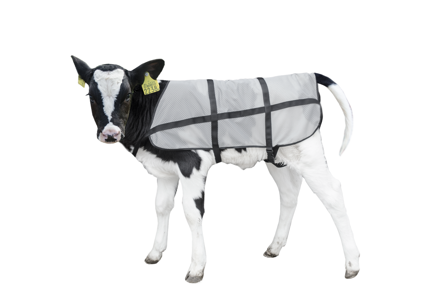 Bodyguard Calf Summer Blanket