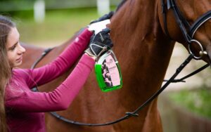 BLACK HORSE Two-phase conditioner SHINING GLOSS VITAL - Image 2