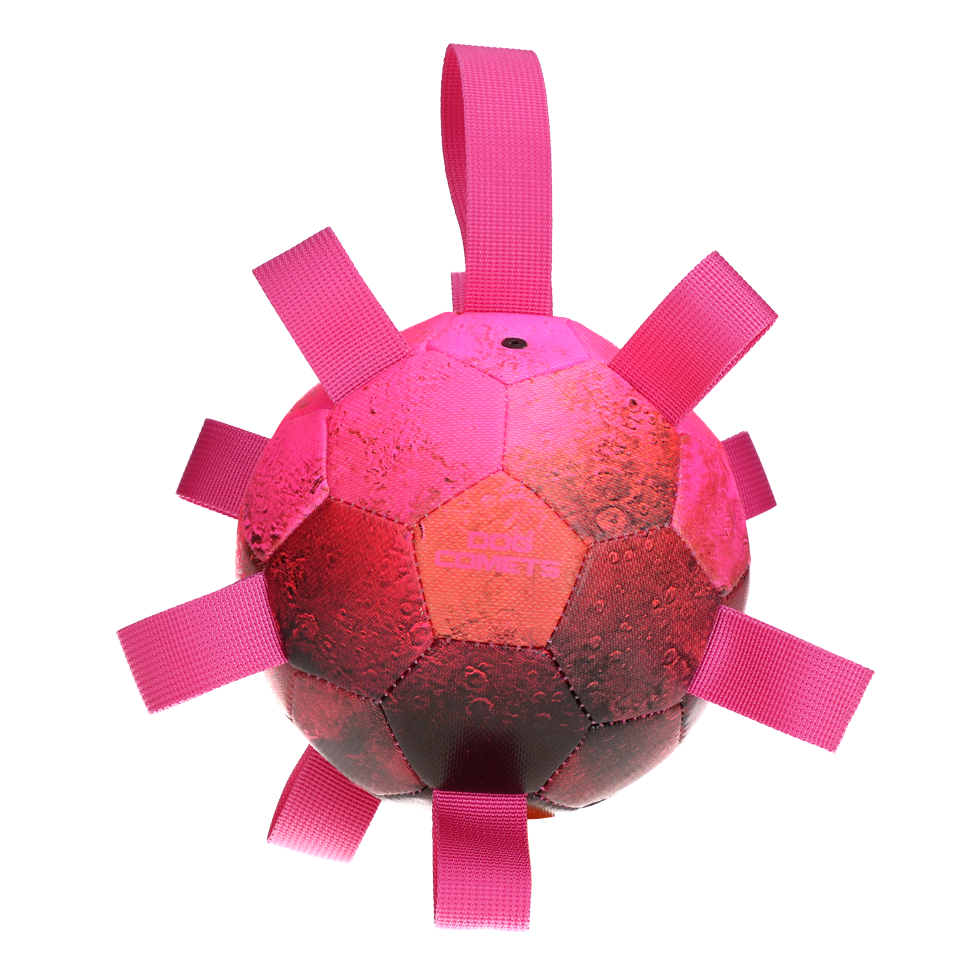 Dog Comets Hypernova Orange Pink