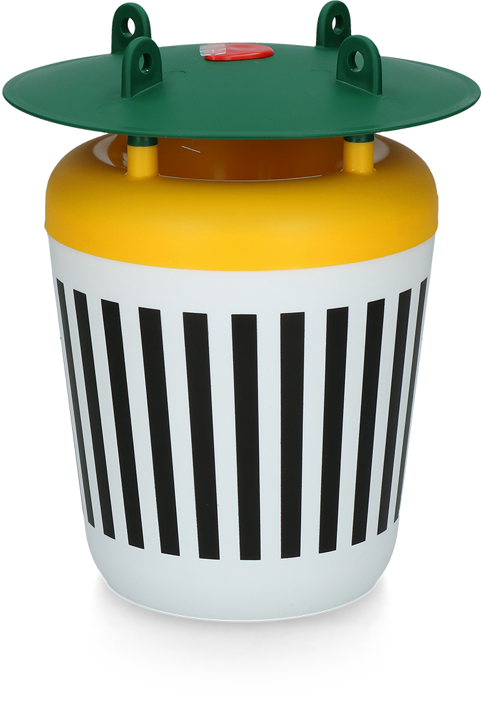 Black Stripe Funnel Moth Trap