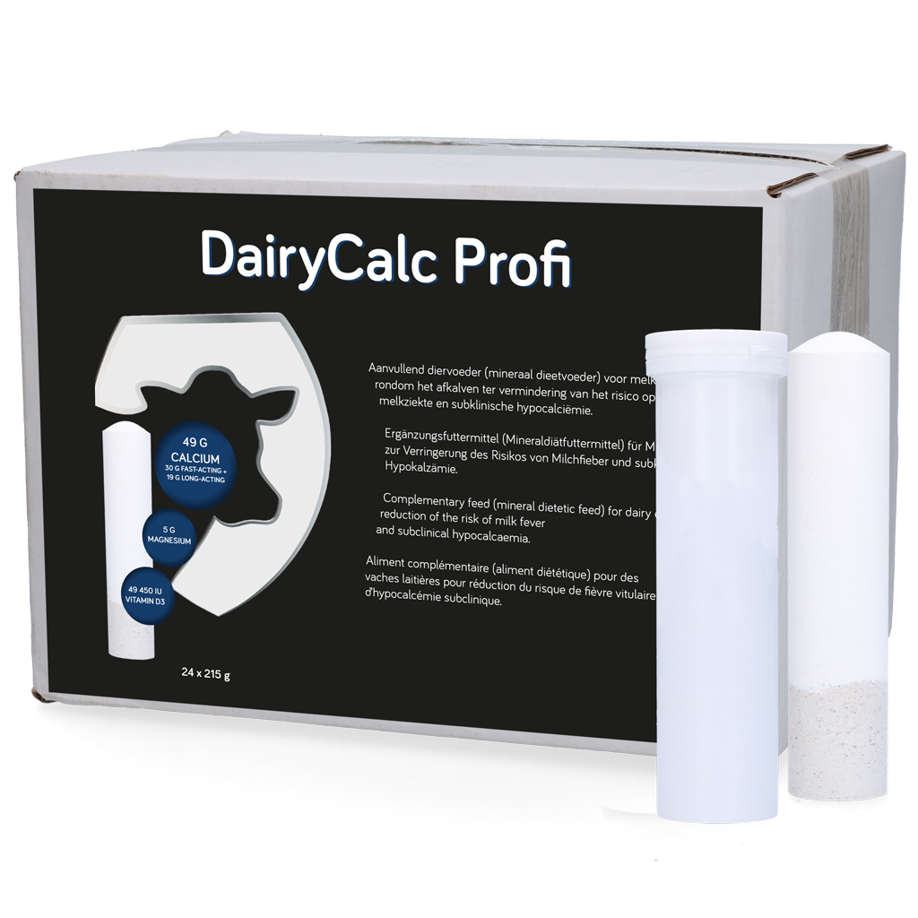 DairyCalc Profi Bolus (Mg & Vit. D3) 24 x 215 g