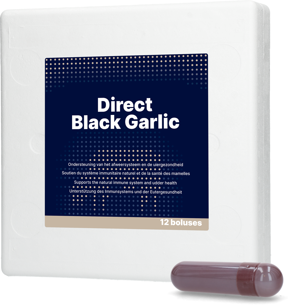 Direct Black Garlic 12 x 60 g