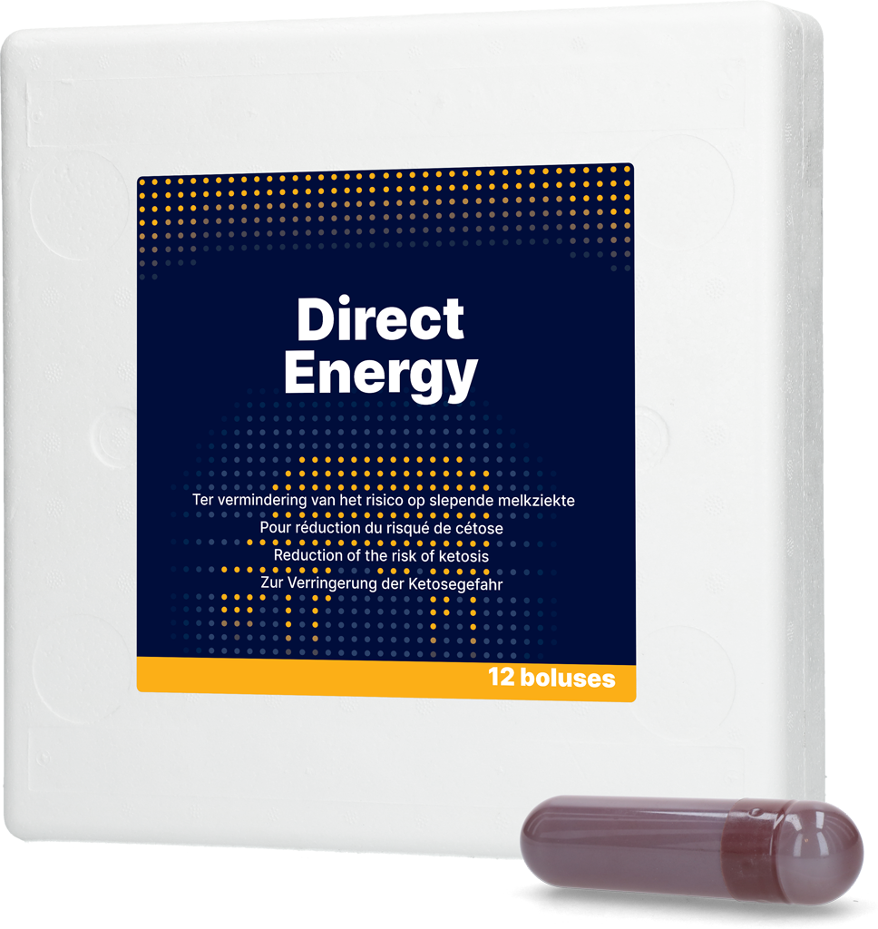 Direct Energy 12 x 67 g