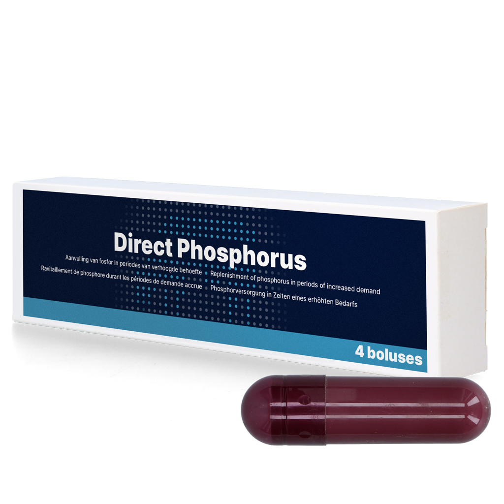 Direct Phosphorus 4 x 123 g