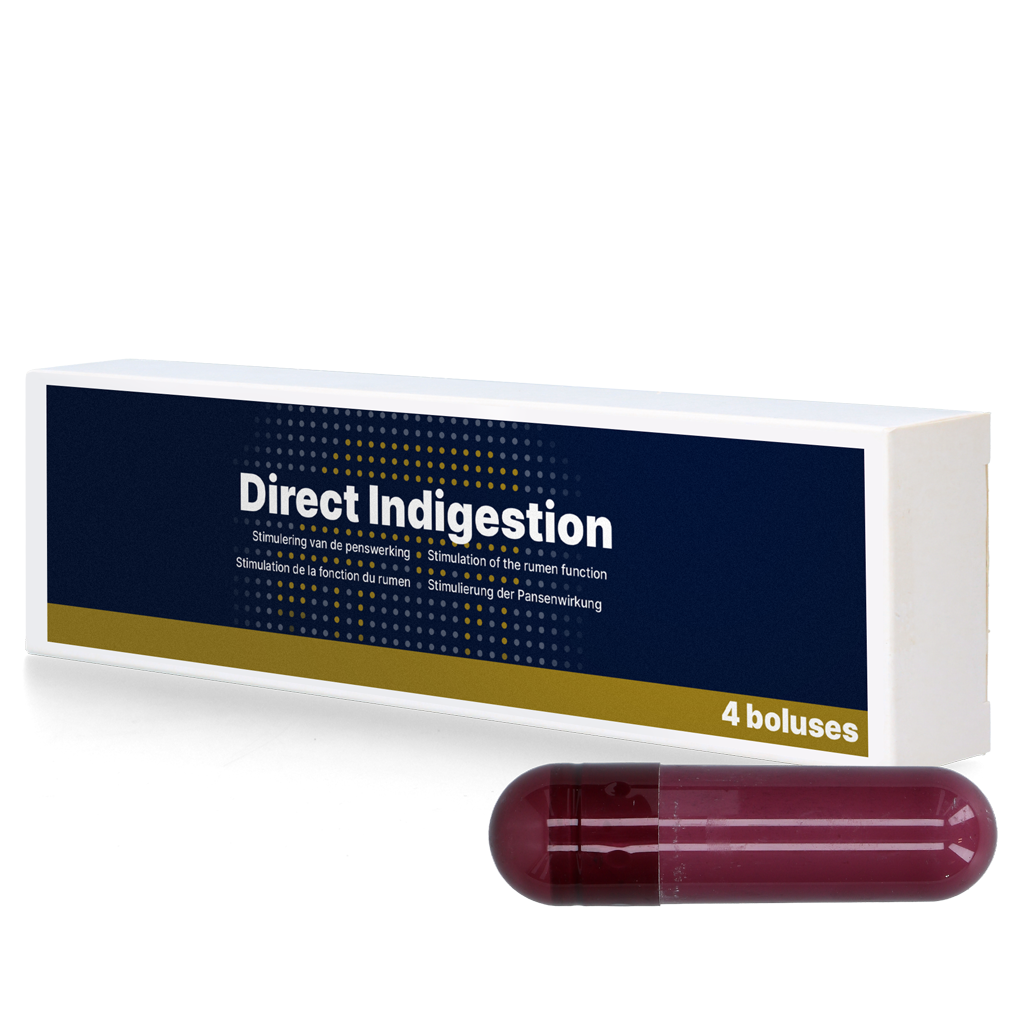Direct Indigestion 4 x 76 g