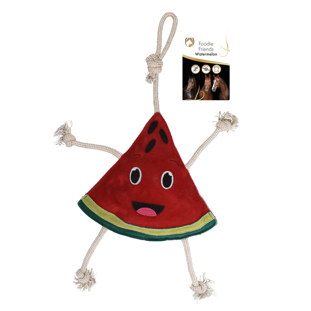 Excellent Horse Foodie Friends Watermelon