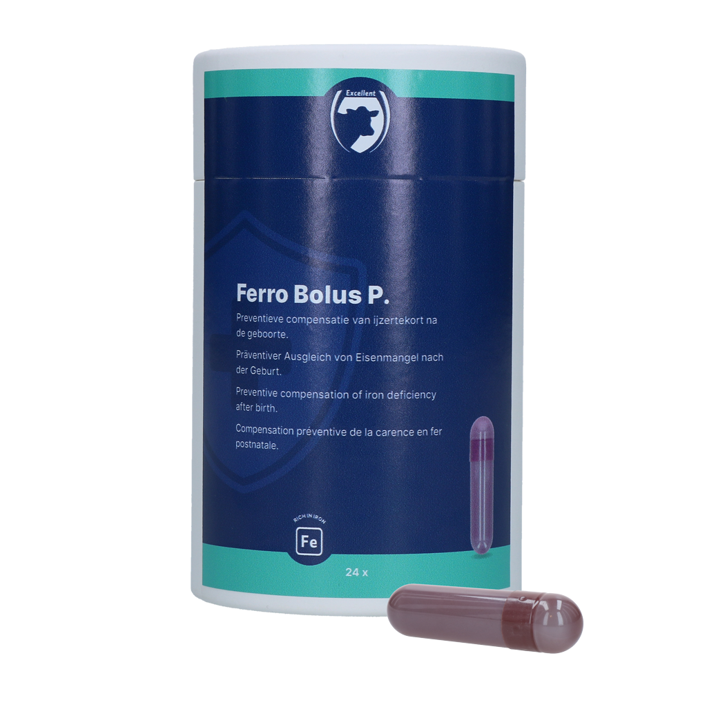 Excellent Ferro Bolus P 24 x 8,5 g
