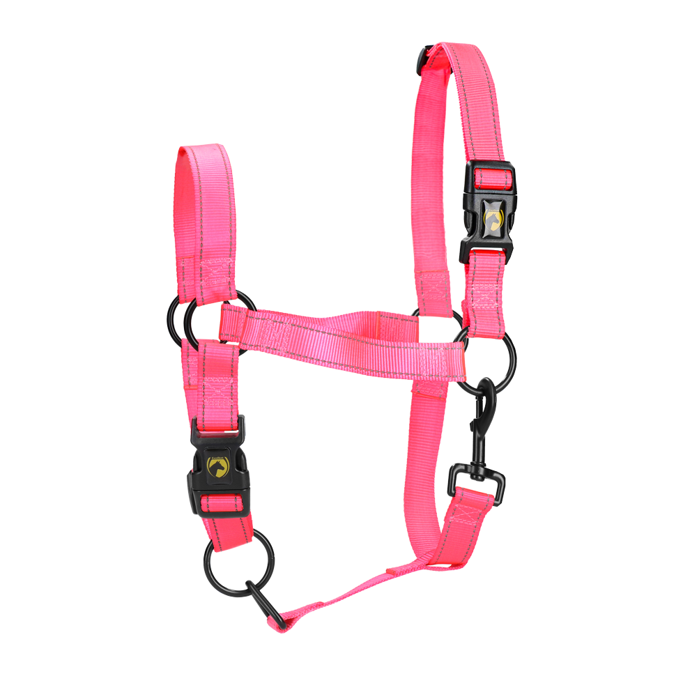 Excellent Premium Halter Pink L