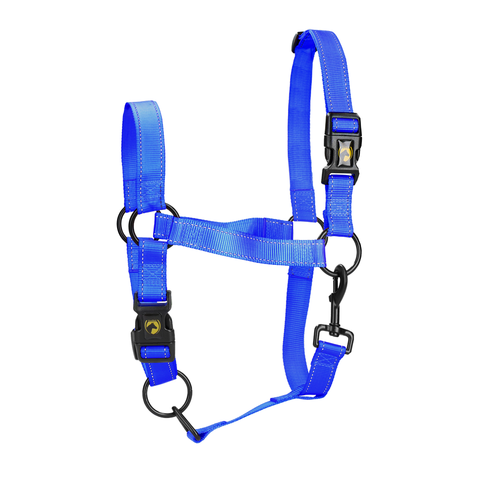 Excellent Premium Halter Blue XL