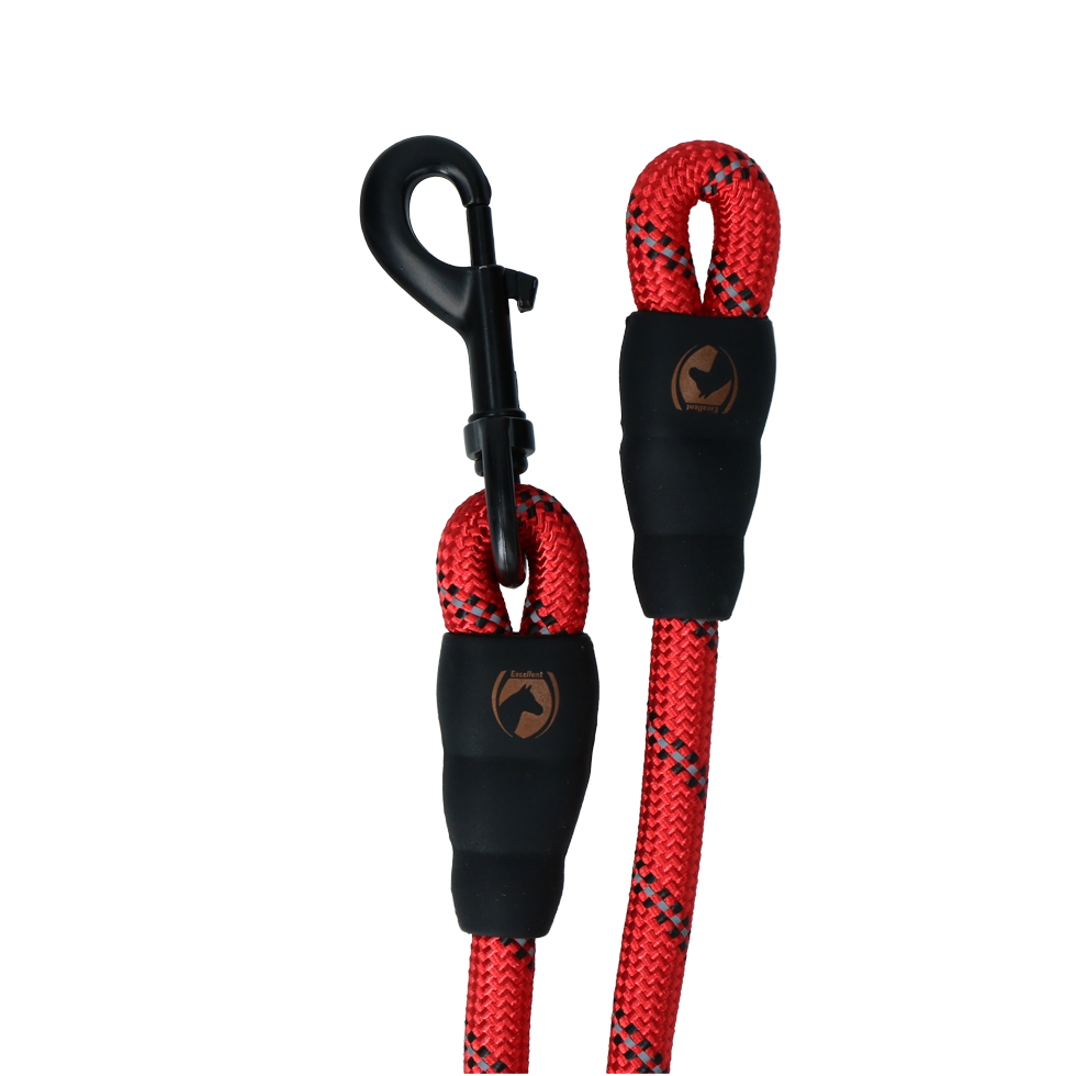 Lead rope Exclusive Reflective Red