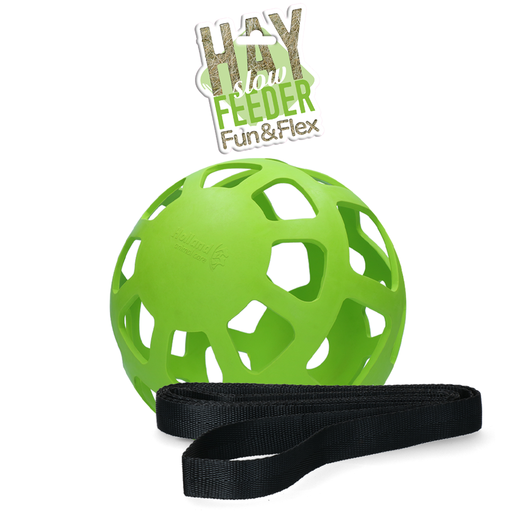 Hay Slow Feeder Fun & Flex Green