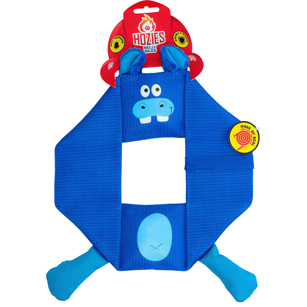 Hozies Billy Bengal Octagon Nelly Niles