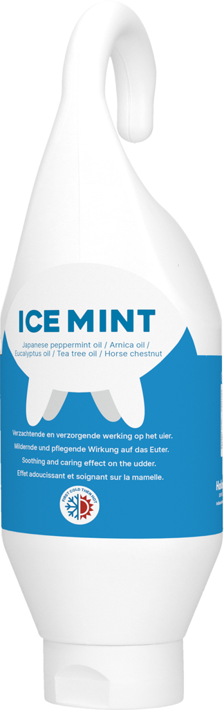Ice Mint Gel stading and hanging bottle 500 ml