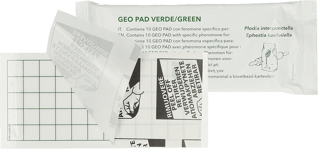 Geo Glue Pad Pantry Moth