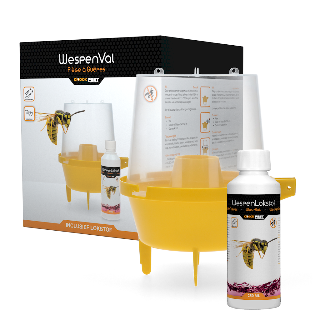 Knock Pest Wasp Trap