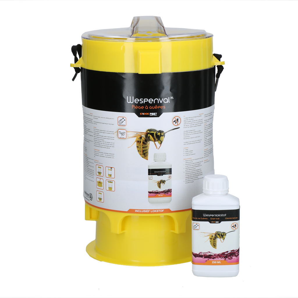 Knock Pest Wasp trap XL