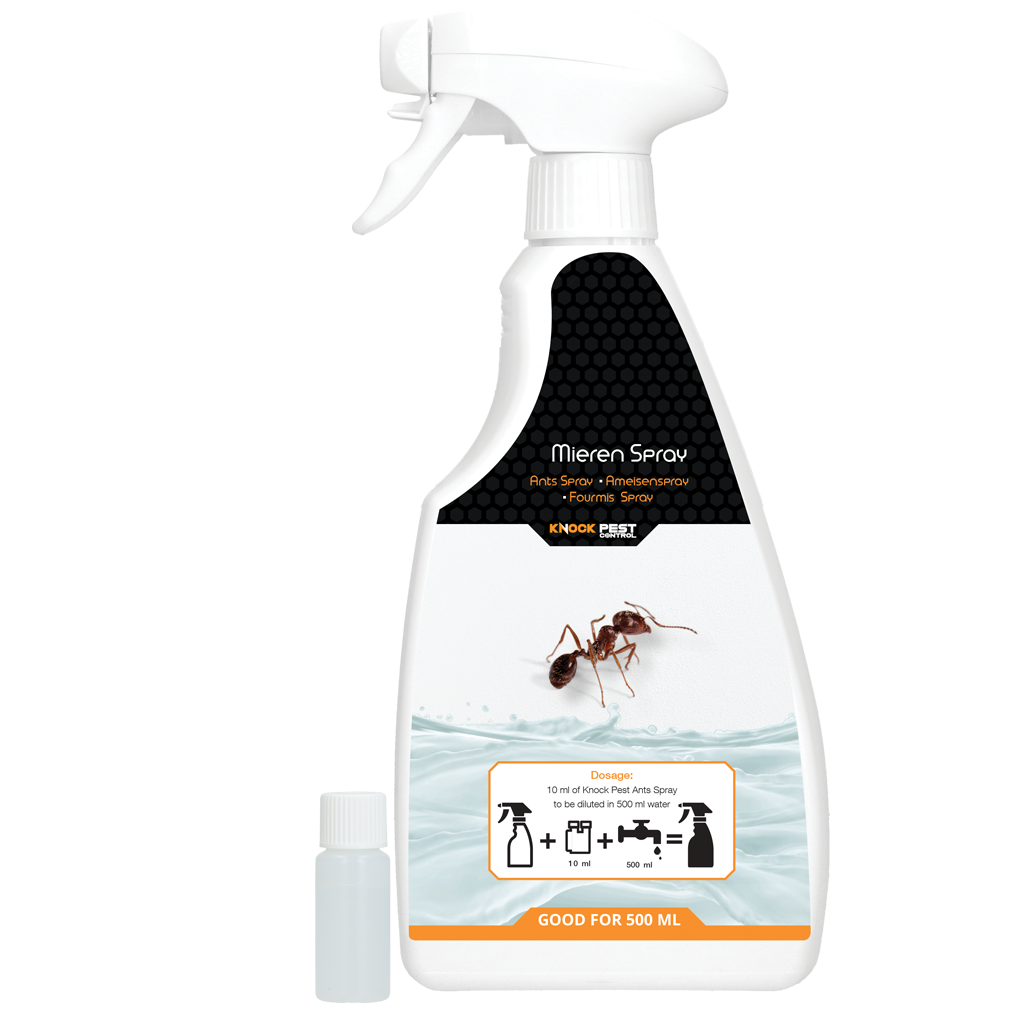 Knock Pest Ants Spray