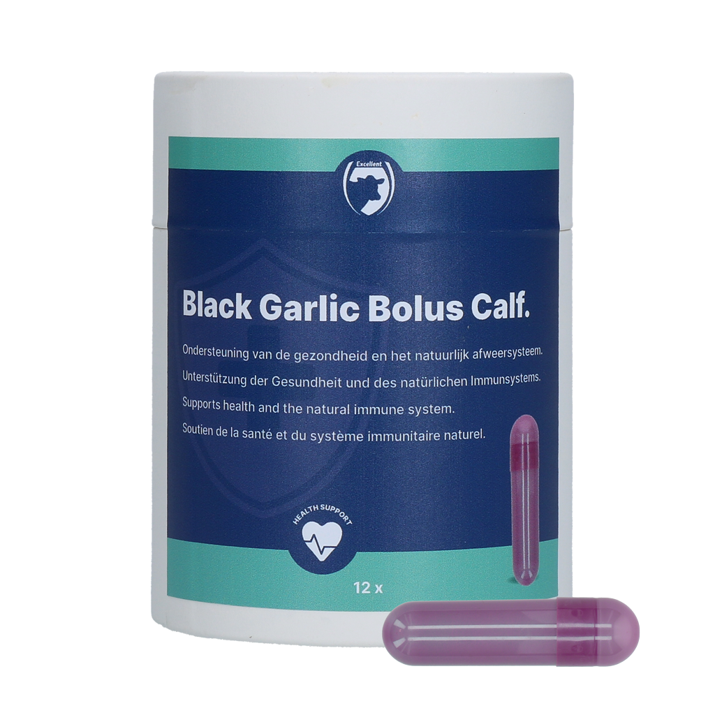 Excellent Black Garlic Bolus Calf