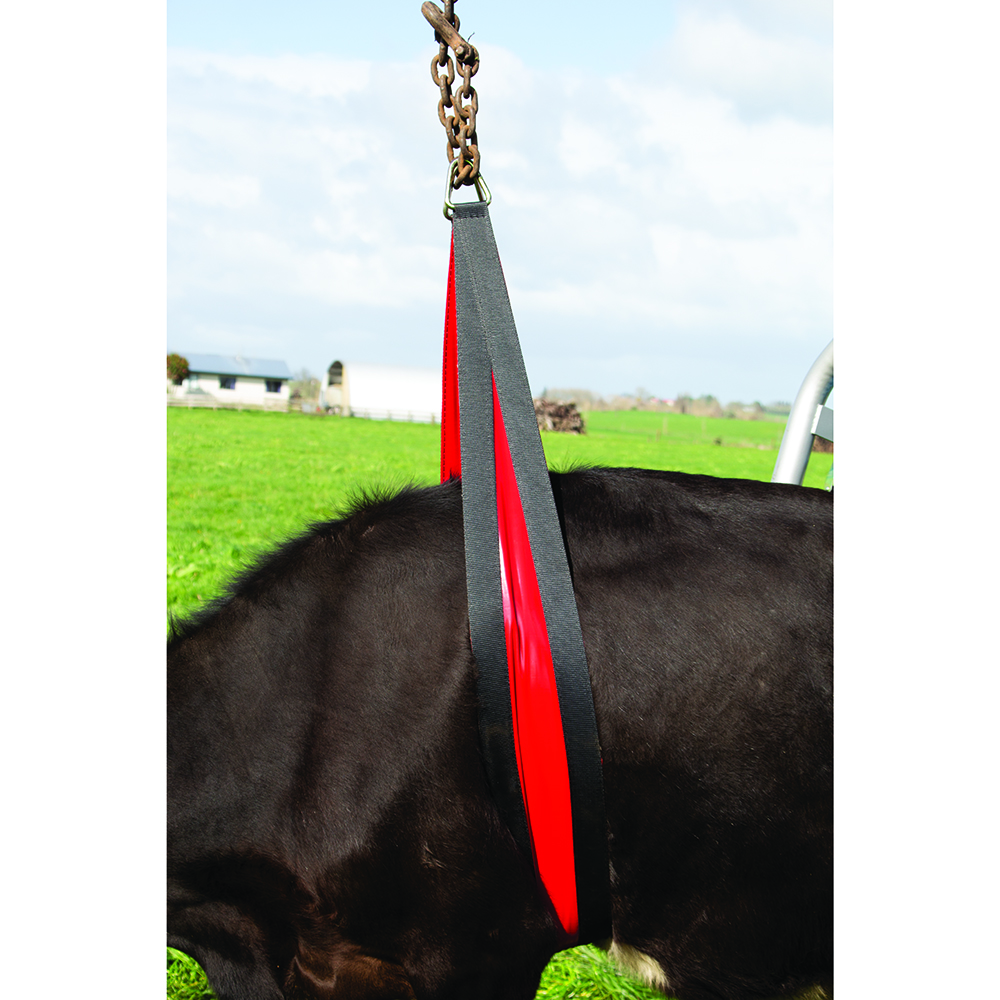 Cow Lifter Belly Strap Front Lift 2,4 meter