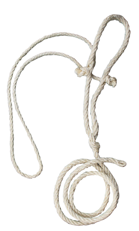 Cow rope halter + thin head rope