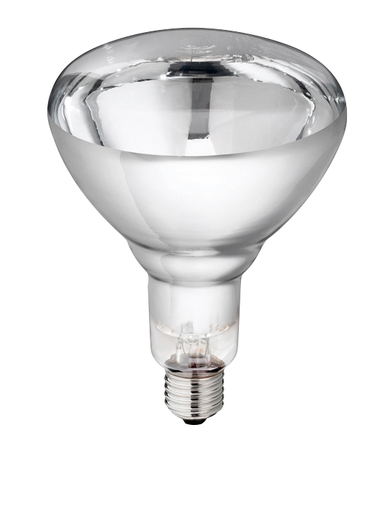 Hard Glass Lamp 250 W - White