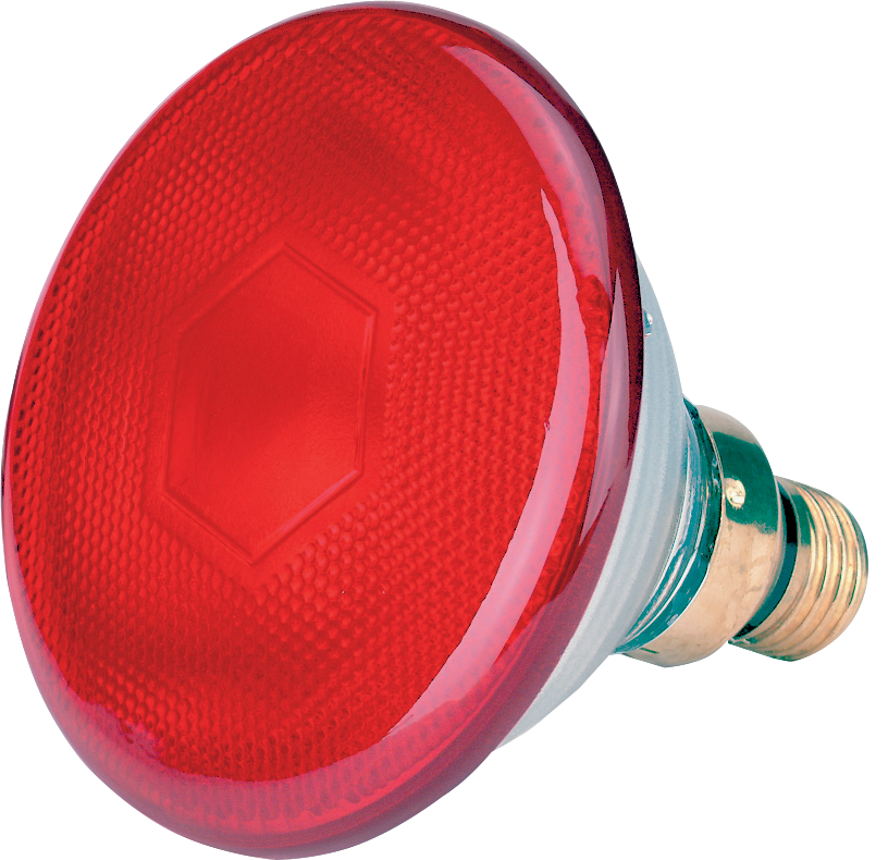 Energy Saving Lamp 175 W - Red