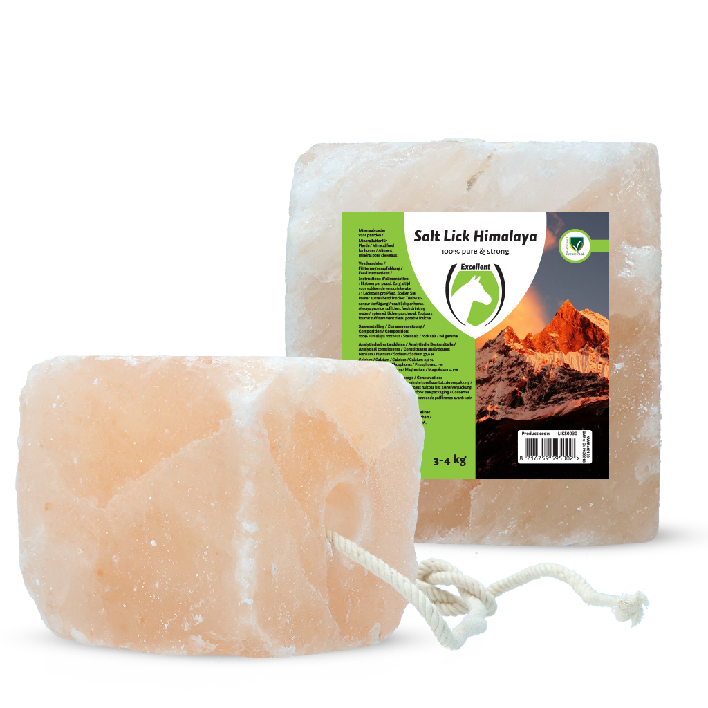 Excellent Horse Salt Lick Himalaya 3-4 kg (With rope)